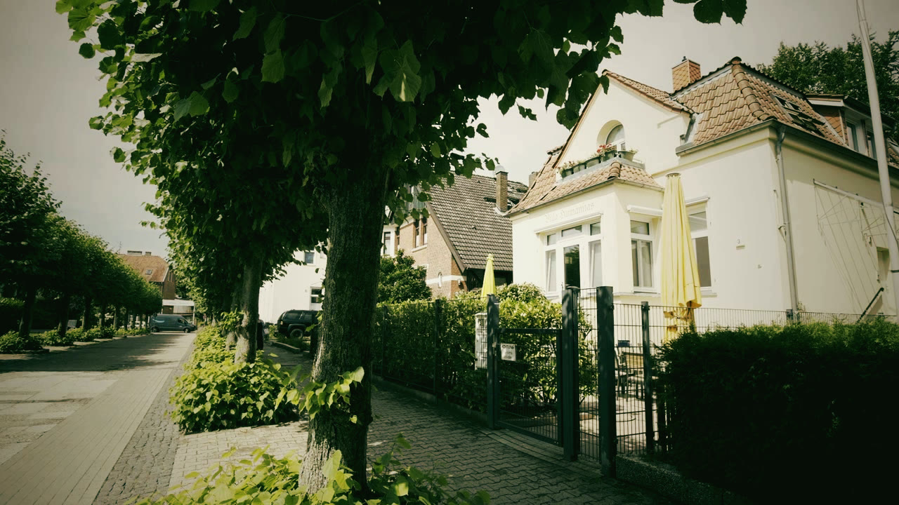 Allee mit Linden vor der Villa Humanitas in Lübeck